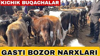 GASHTI BOZORDAN KICHIK BUQACHALAR NARXLARI ZANG MOLBOZORI