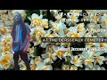 The Celebration Of The Life Of  Vanesta Augustin &  Vernel Augustin