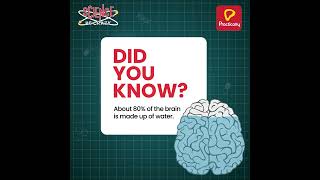 Fascinating Fact About The Human Brain | Science Be Crazy