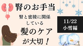 冬は腎のお手当！！腎と密接に繋がっている髪のケアが大切です♪【花音季節のお手当】11/22小雪編