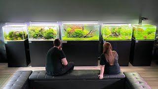 THE BIGGEST AQUASCAPE GALLERY IN THE UK - EXTENDED TOUR
