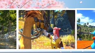 【FFXIV-ようこそエオルゼア 한글】 파이널판타지14 -당신의 모험