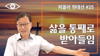 [현대선25] 삶을 통째로 받아들임 / 피올라 현대선 5강 \