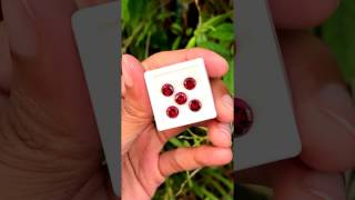 5.20ct / 5pcs Flawless Unheated Natural Round Red Garnet Mozambique