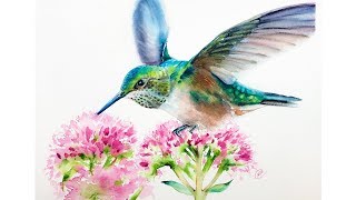 Watercolor Hummingbird Painting Process