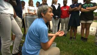 The Journey of Stormwater: Part 1 - Math Science 21