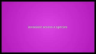 Monomorphic Meaning