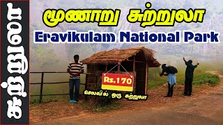 மூணாறு எரவிகுளம் தேசிய பூங்கா சுற்றுலா  I Eravikulam National Park I Rajamalai I VillageDatabase