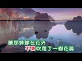 崔萍 ~ 寄語東風輕輕吹