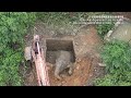 Wild Asian elephant rescued from water pit in SW China’s Yunnan Province