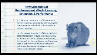 Schedules of Reinforcement in Operant Conditioning - The Psychology of Learning - Stage 2 Psychology