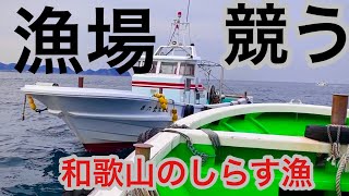 狭い漁場で競う【しらす漁】和歌山の船曳ちりめん漁師2021年11月18日