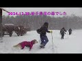 2024 12 29 アロアのクロカン散歩・岩手県民の森・ローラ u0026ブルー