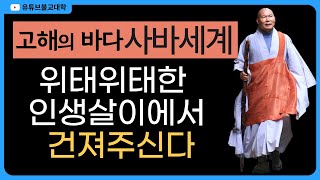 [불교] 우학스님 생활법문 (낭견관세음보살/33관음-31)