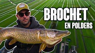 Pêche dans les POLDERS : à la recherche des BROCHETS Hollandais !