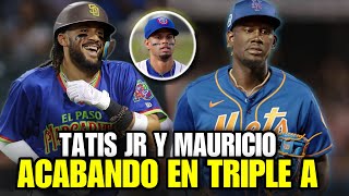 ELLOS SON LOS MEJORES BATEADORES EN TRIPLE A, FERNANDO TATIS JR, RONNY MAURICIO - MLB BASEBALL