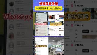 ws超级号群发WhatsApp引流ws打粉WhatsApp绿标号WhatsApp营销软件