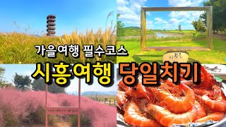 [가을여행] 반드시 가봐야하는 10월 서울근교 당일치기 시흥여행 / 시흥가볼만한곳 핑크뮬리 / 가을꽃게 대하 새우시세 가격 / 월간 유리소리/ 갯골생태공원 오이도 수산시장 한울공원