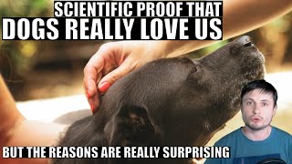 Science Proves Dogs Really Love Us But For a Surprising Reason