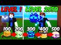 Noob To MAX LEVEL But Every 100 Level My Fruit Changes in Blox Fruits [FULL MOVIE]