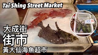 大成街街市 黃大仙海魚超市 | 大成街マーケット 珍しい魚ばかり | Tai Shing Street Market