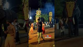 തിരുവാഴപ്പള്ളിതേവരുടെ ശിവേലി #vazhappallysreemahadevatemple #matrixchannel