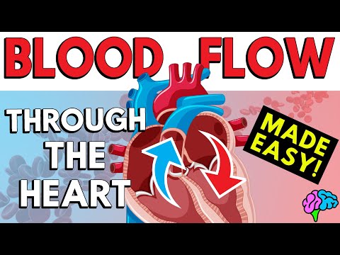 What is the correct order for the flow of blood entering the heart from the body and leaving for pulmonary circulation?