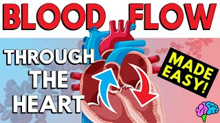 Blood Flow Through the Heart (Made Easy in 5 Minutes!)