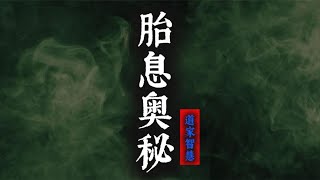 道家高人破解胎息奧秘，詳細解讀養氣智慧，珍貴難得！