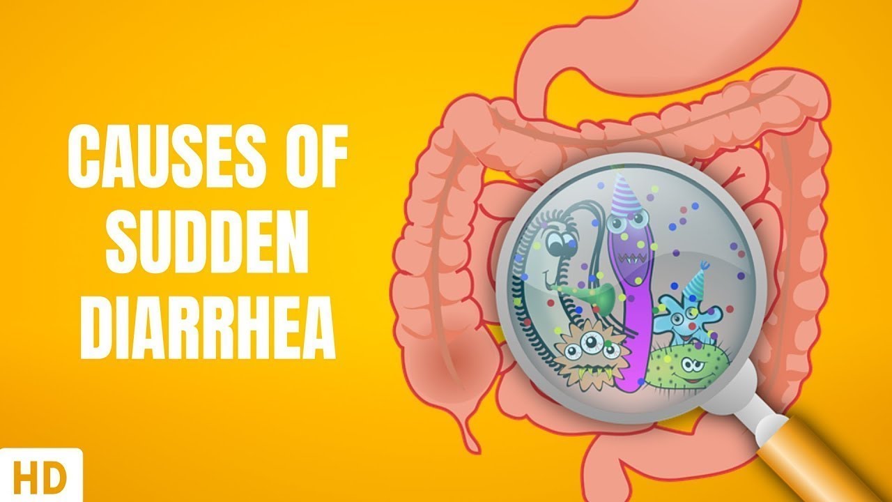 Causes Of Sudden Diarrhea - YouTube