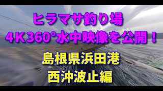 ヒラマサ釣り　釣り場の5.7Ｋ360°水中映像　（島根県浜田港西沖波止）2020