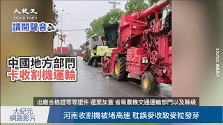 【焦點】大批收割機被堵高速🎯耽誤河南麥收致麥粒發芽😭 | 台灣大紀元時報