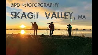 [Bird Photo Hotspots] Exploring the Skagit Valley - WA