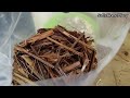 വാഴയില ഇനി കളയല്ലേ mushroom farming using dried leaves