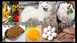 কুকুরকে ঘরের কি কি খাবার  দিতে পারেন ?/What foods can you give the dog at home?