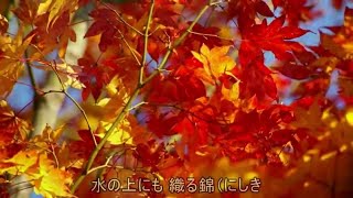 ◆K35. 10月紅葉（もみじ）NHK東京児童合唱団