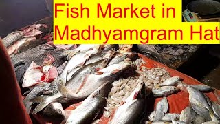 Fish market in Madhyamgram Hat