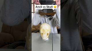 Anvil Vs Dummy Skull #shorts