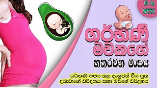 Sri Lankan Moms Pregnancy Period 4th month (13 - 16 week) in sinhala | Sri lankan moms | SL the Bro