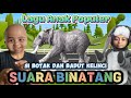 Lagu Viral Lucu “SUARA BINATANG” lagu anak populer