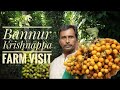 Bannur Krishnappa Farm Visit | Zero Budget Natural Farming (ZBNF) | karnataka | subhash palekar