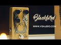 VS Audio BlackBird Overdrive || Official Product Video