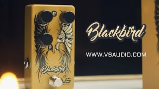 VS Audio BlackBird Overdrive || Official Product Video