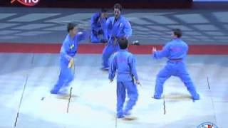 WVVF - VOVINAM VIET VO DAO DEMONSTRATION - BERCY PARIS 2008