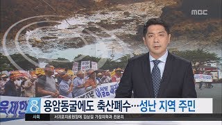 제주MBC 리포트_용암동굴에도 축산폐수 성난 지역 주민_김항섭