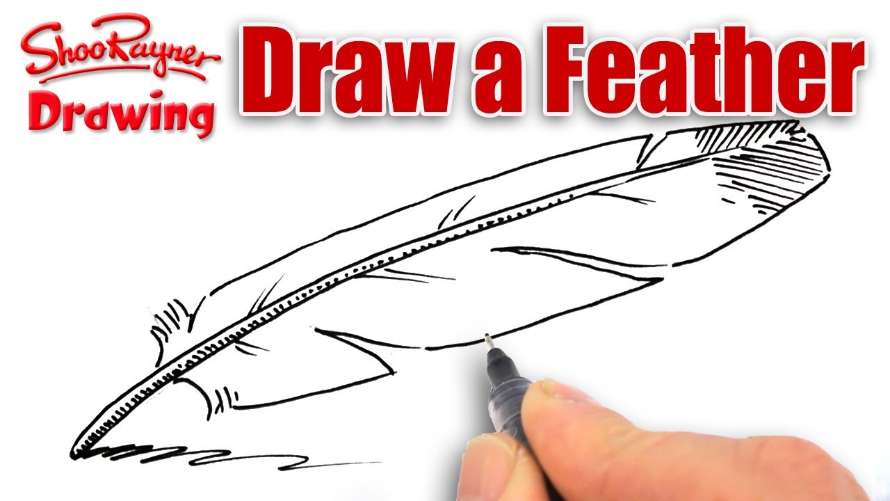 How To Draw A Feather Youtube