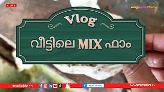 എന്റെ കോഴി ഫാം /kozhi farming/chicken feed/poultry farm tips