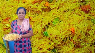 വെർമ്മിസെല്ലി ഉപ്പ്മാവു|make vermicelli upma malayalam|recipe by sophy jayan #kalayumpachakavum