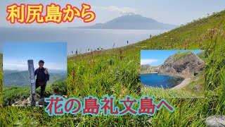 【2021夏の北海道③】利尻島から花の島礼文島へ　星観荘宿泊