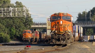 Trains of Seattle PART 2: Downtown and South Seattle (ft.Amtrak 203, BNSF, Union Pacific, Sounder)